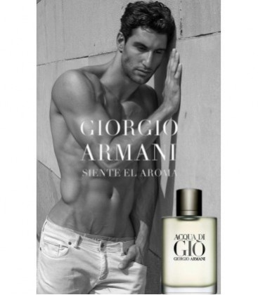 Giorgio Armani Acqua Di Gio EDT 100 ml Erkek Parfüm